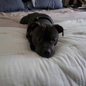 Meet your Posher, Trisha